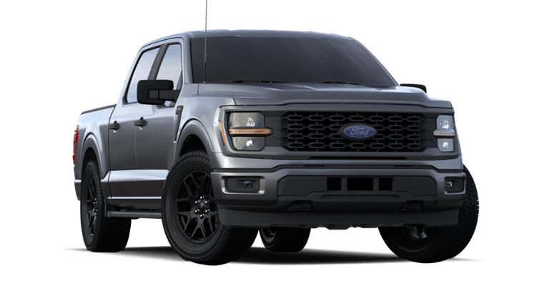 2024 Ford F-150 Vehicle Photo in Weatherford, TX 76087-8771